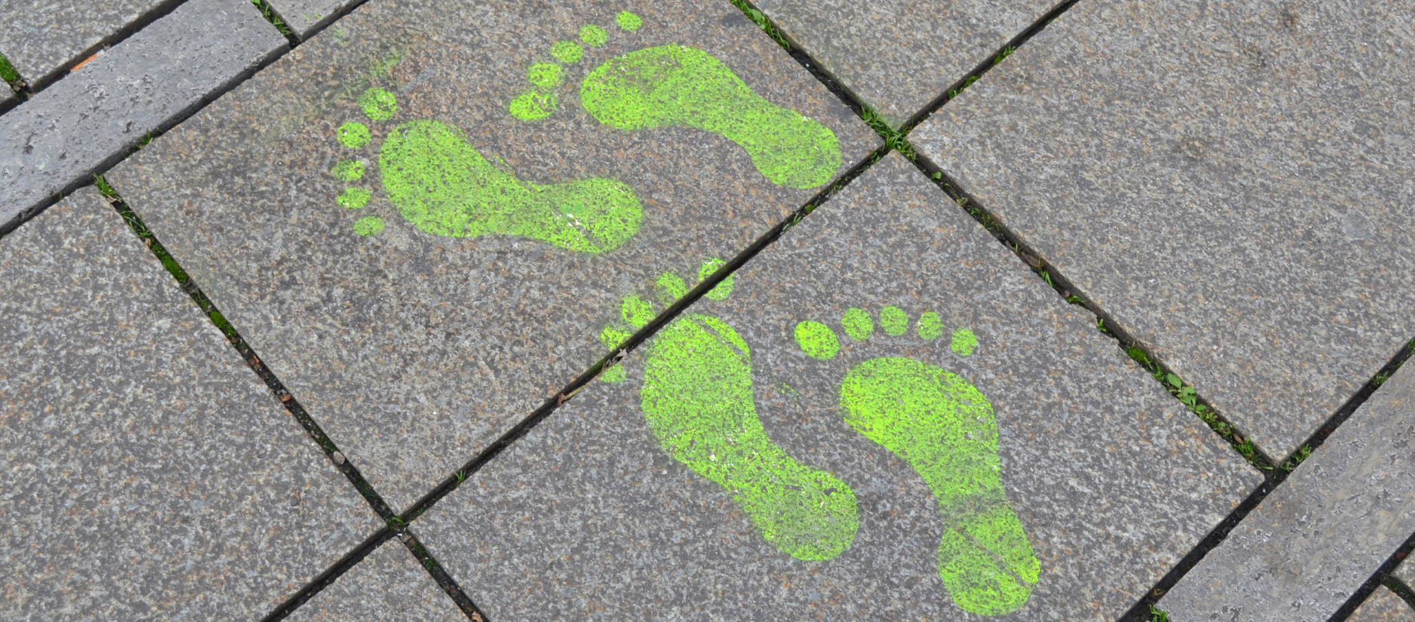 The Carbon Footprint of Digital Marketing: Why It Isn’t Always the Greener Choice